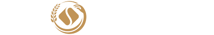 vsLogo